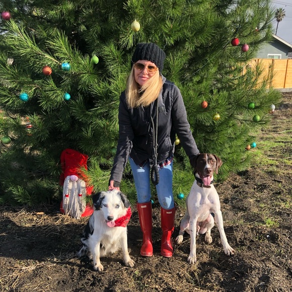 Live Show Listing! Lux and Designer Show - Picture 7 of 8